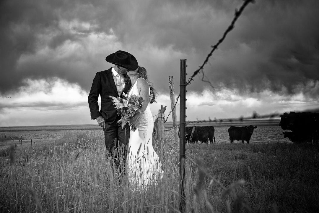 Bride and groom kissing in a field